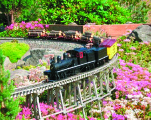 Baker & Grande Ronde Railroad by the Lee family in Corbett