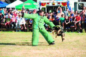 One of the reasons suspects are prone to cooperate with deputies is the ability of the K-9 to get their full and undivided attention.